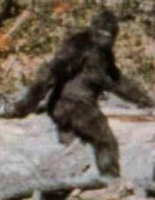 bigfoot-film-6595-1406712866.jpg