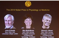 Anh và Na Uy chia nhau giải thưởng Nobel Y học 2014