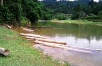 	 Để xảy ra phá rừng, hạt trưởng kiểm lâm mất chức 