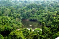 Brazil lập vùng bảo tồn sinh thái rừng Amazon rộng 6.000km2 