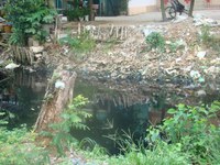 Ô nhiễm nguồn nước và vấn đề sức khỏe 