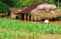 Truyền thông tham gia ứng phó biến đổi khí hậu 