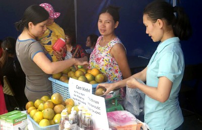 cam-Vinh, cam-Cao-Phong, Hưng-Yên, Hòa-Bình, hoa-quả, cam-Vinh-chính-hiệu