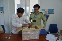TPHCM: Bắt giữ một vụ vận chuyển thuốc lá giả