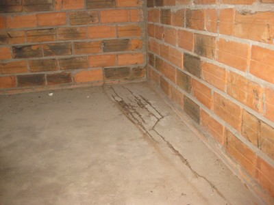 Hiện trường nơi phát hiện vụ việc.