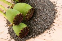 Trung Quốc phát hiện nhà hàng bán mỳ trộn…thuốc phiện