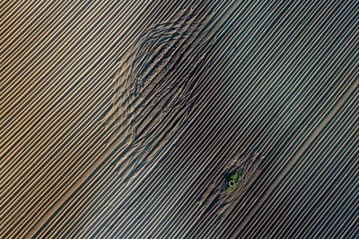 Đ.H