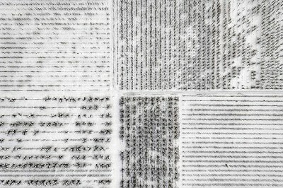 Một khu vườn bị tuyết phủ trắng ở Tczew