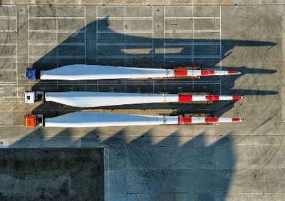 Một khu rừng đang mùa thay lá