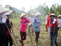 11 khoản tự nguyện: Bé đi khai giảng cũng phải đóng tiền