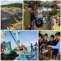 Chỉ đạo, điều hành của Chính phủ, Thủ tướng Chính phủ nổi bật từ 28/7-1/8