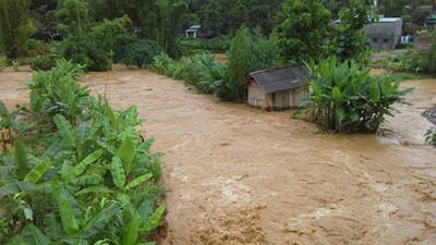 mưa lũ, người chết, thiệt hại