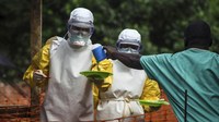 VN phòng dịch Ebola: Giám sát chặt người nhập cảnh