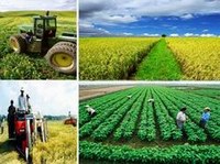 Quảng Nam đẩy mạnh phát triển nông nghiệp, thủy sản
